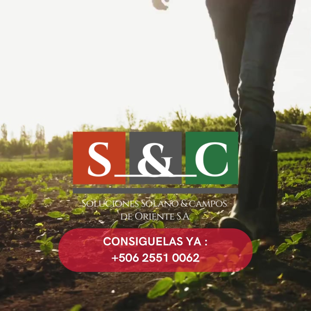 Inicio - Botas de hule, productos de limpieza y calzado de seguridad